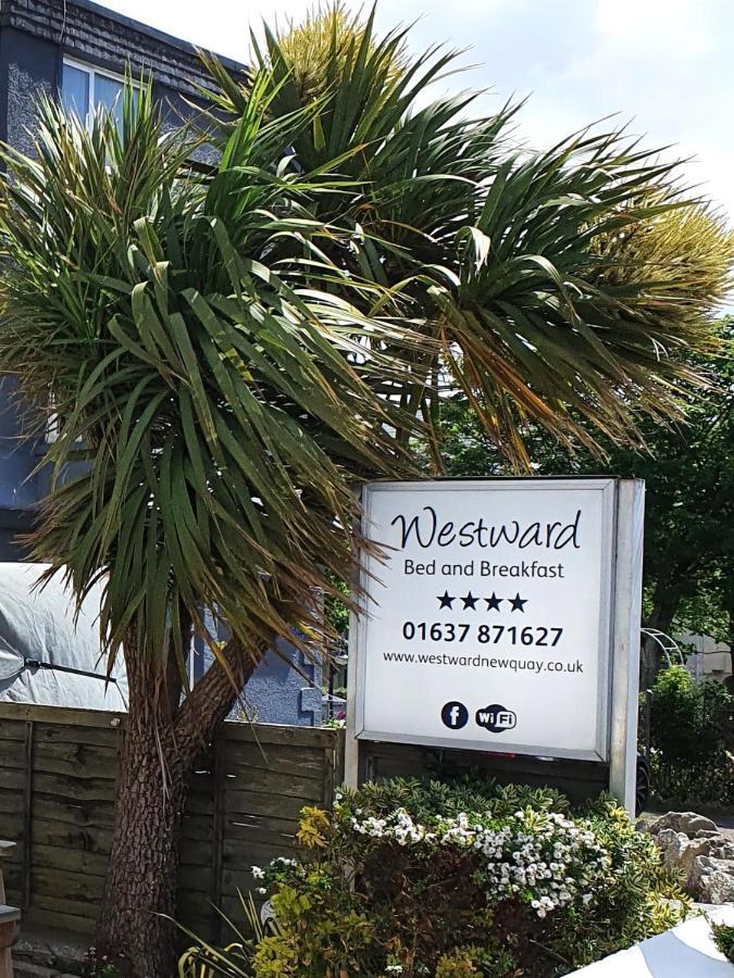 Westward B&B New Quay Eksteriør bilde