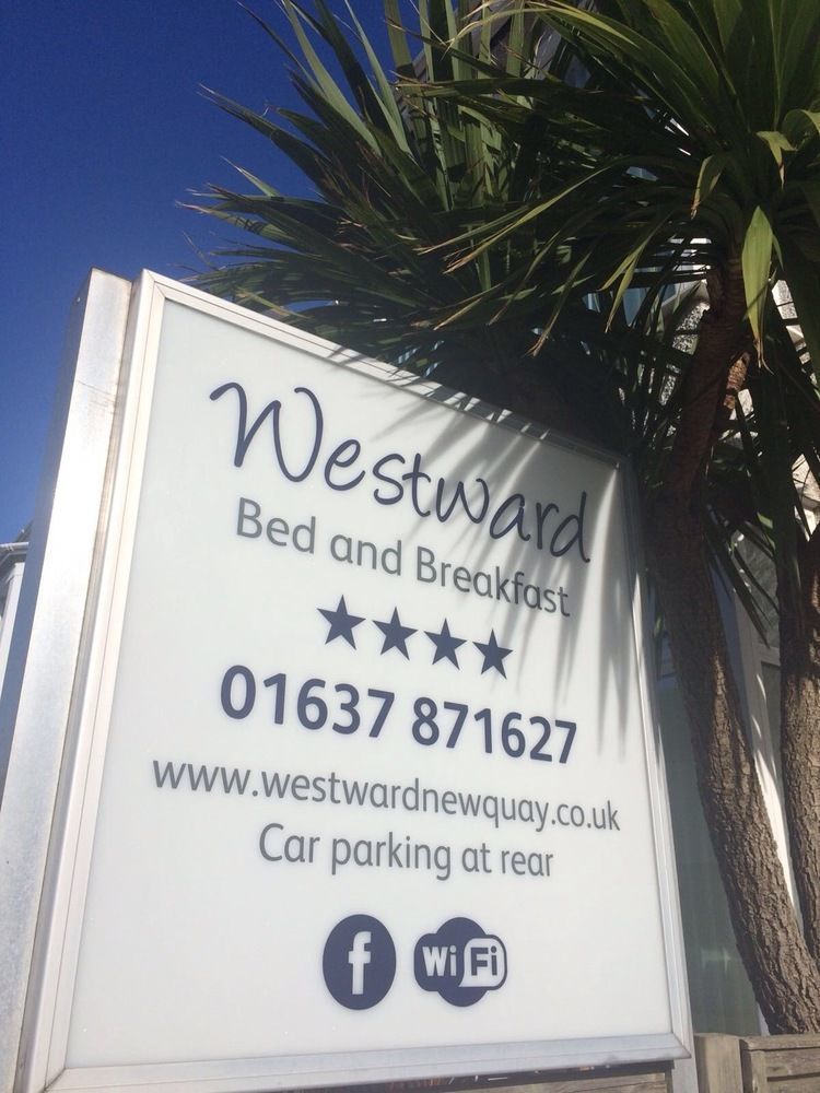 Westward B&B New Quay Eksteriør bilde